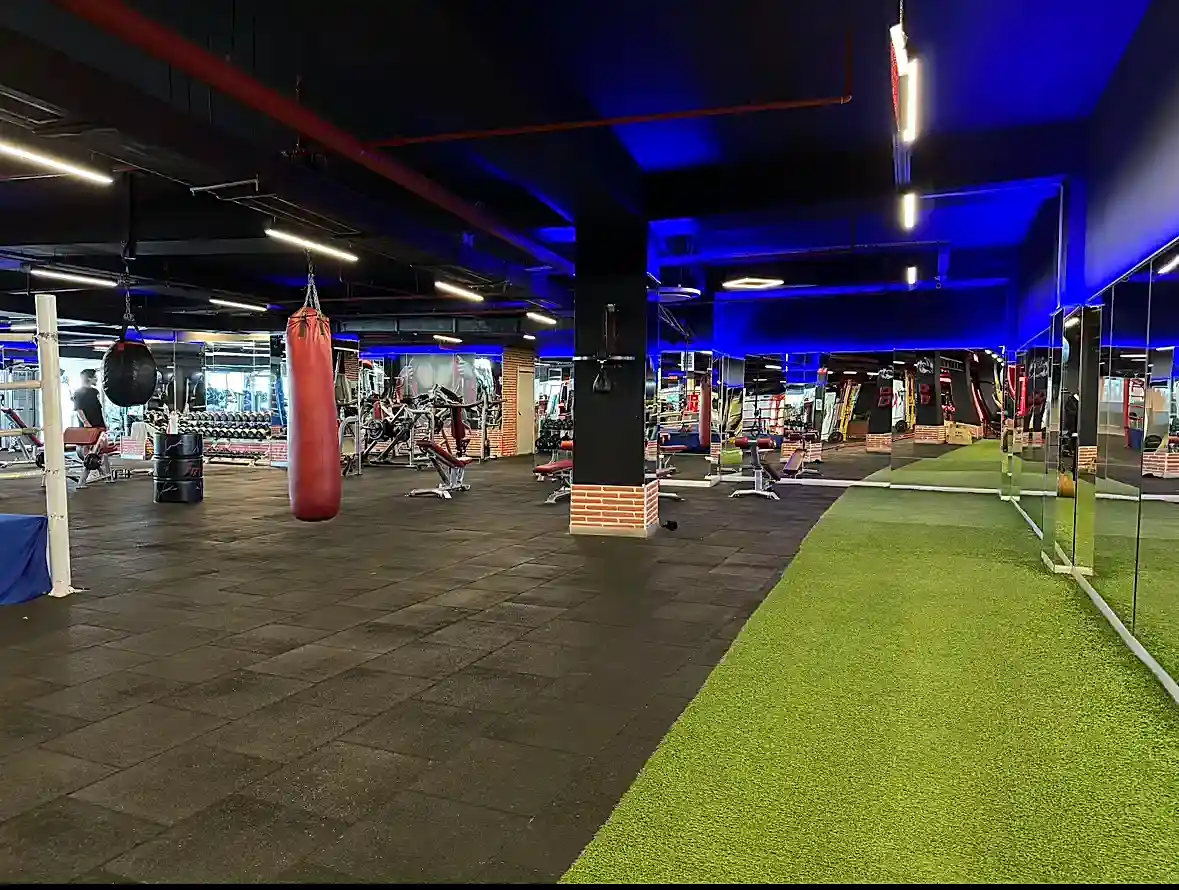 Fit216-Spor-Salonu-Fitness-Alani